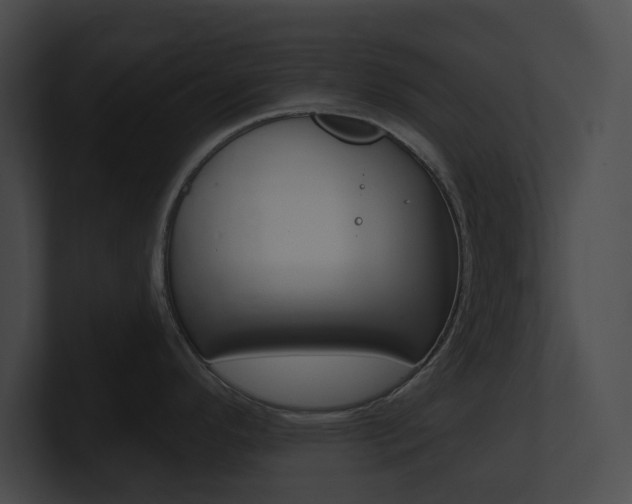 X0000101161296200806270724