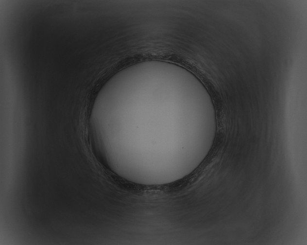 X0000101161297200806270724