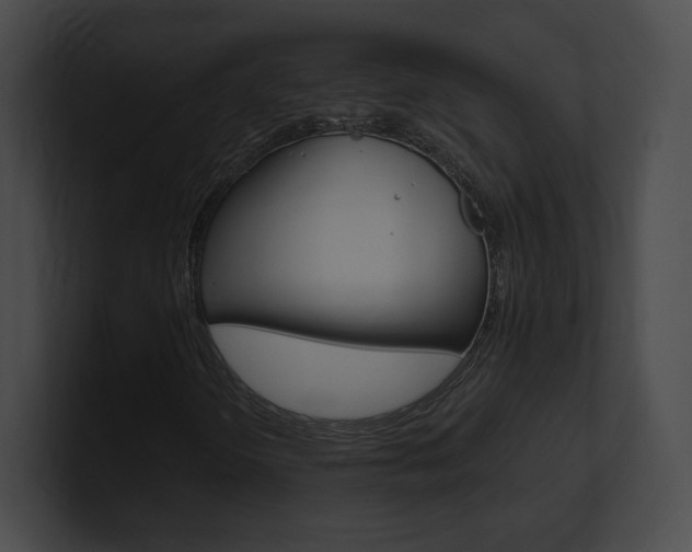 X0000101161298200806270724
