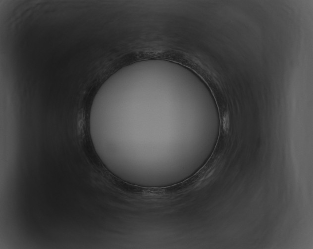X0000101161299200806270724