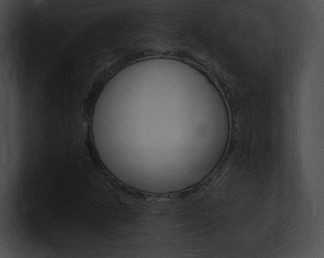 X0000101161302200806270724