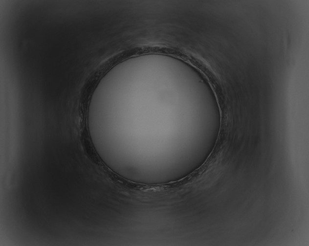 X0000101161303200806270724