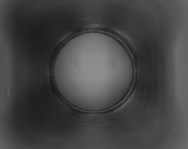 X0000101161305200806270724