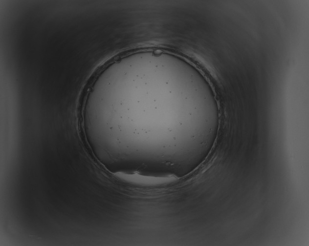 X0000101161308200806270724