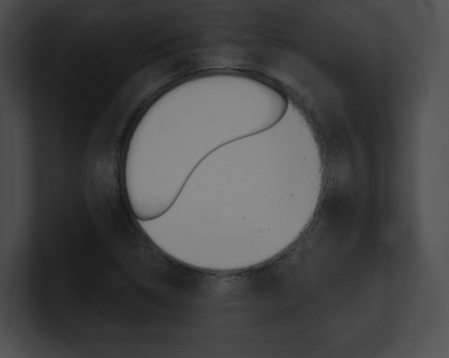 X0000101161314200806270724