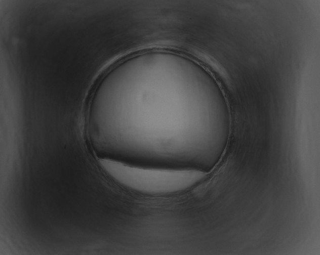 X0000101161316200806270724