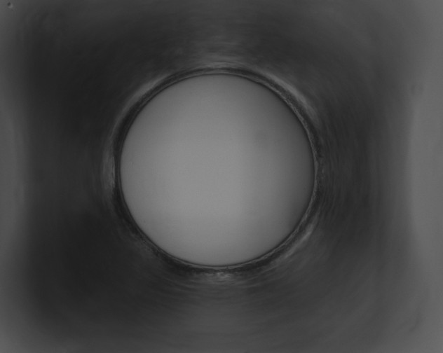 X0000101161317200806270724