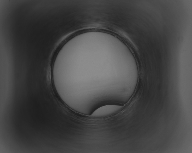 X0000101161320200806270724