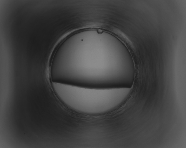 X0000101161324200806270724