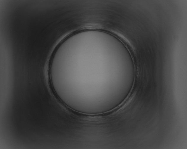 X0000101161325200806270724