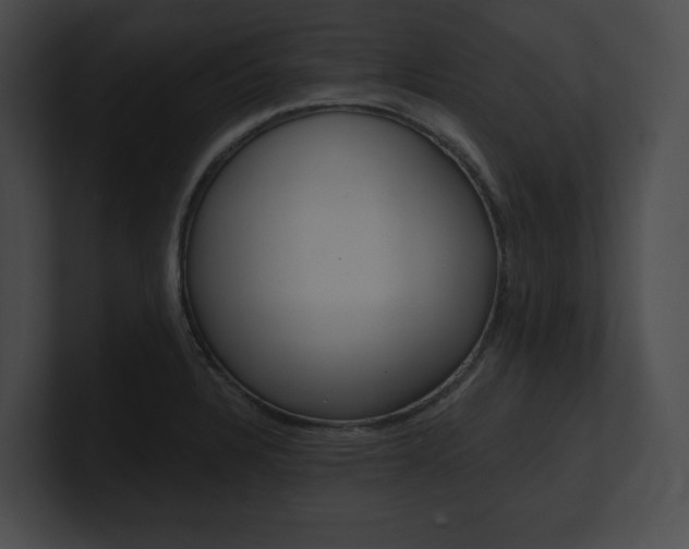 X0000101161328200806270724