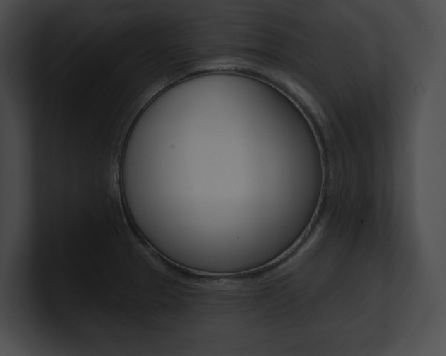 X0000101161329200806270724