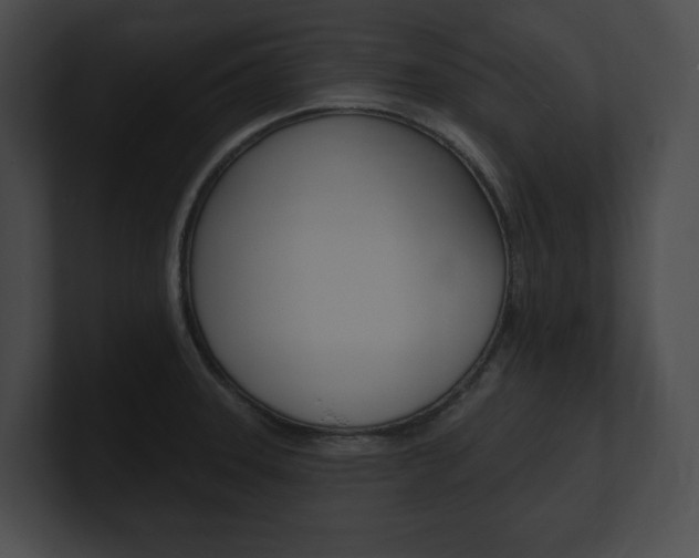 X0000101161331200806270724