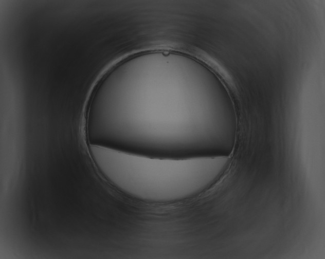 X0000101161332200806270724