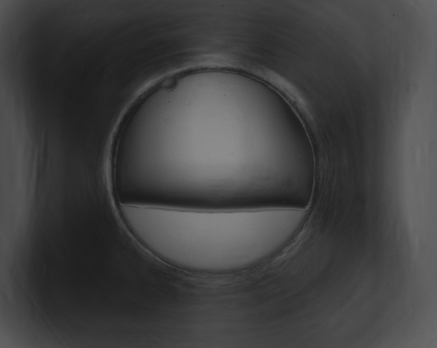 X0000101161334200806270724