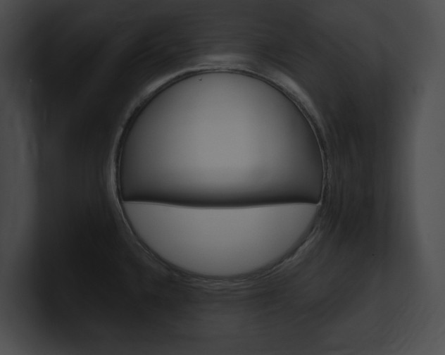 X0000101161336200806270724