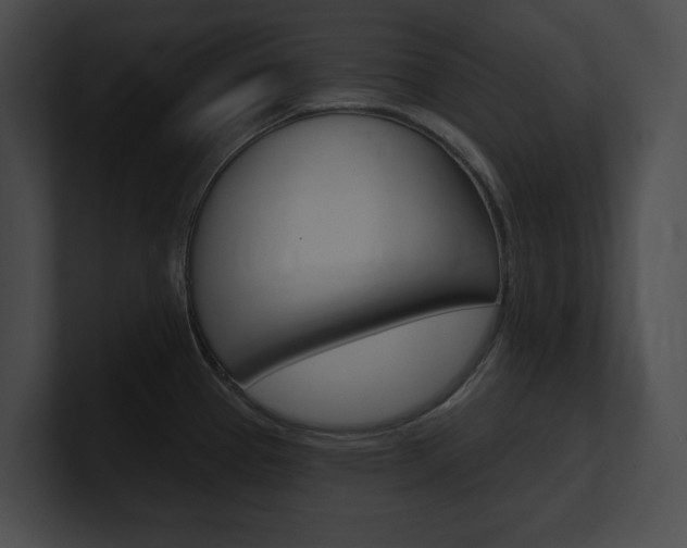 X0000101161337200806270724