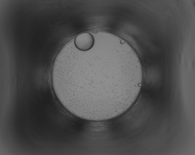 X0000101161338200806270724
