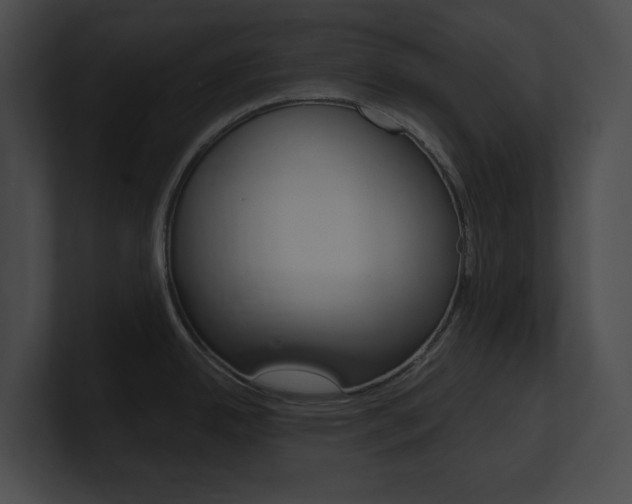 X0000101161342200806270724