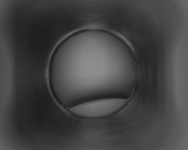 X0000101161343200806270724