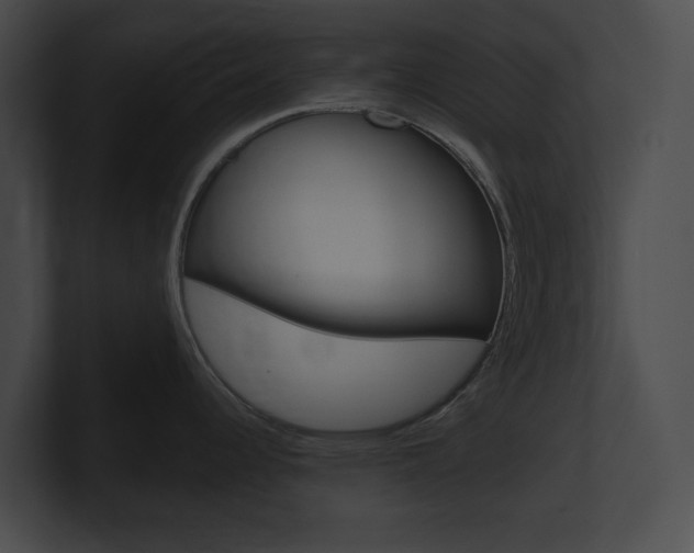 X0000101161344200806270724