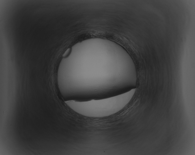 X0000101161345200806270724