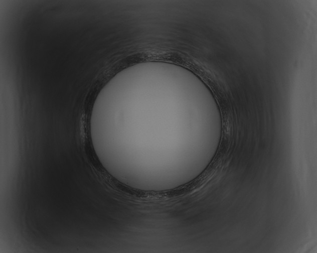 X0000101161346200806270724
