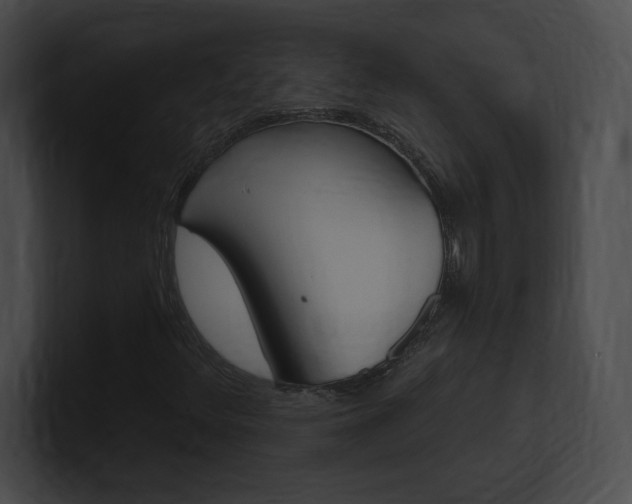 X0000101161348200806270724