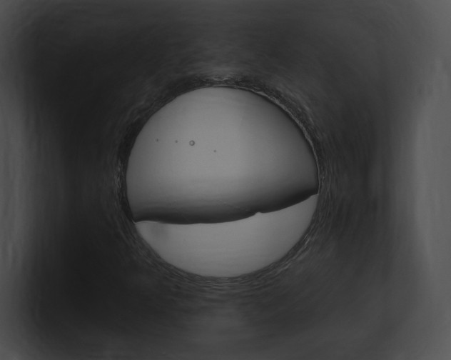 X0000101161349200806270724