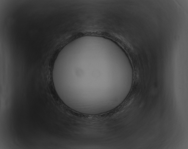X0000101161350200806270724