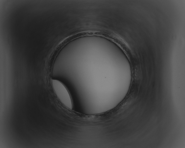 X0000101161352200806270724