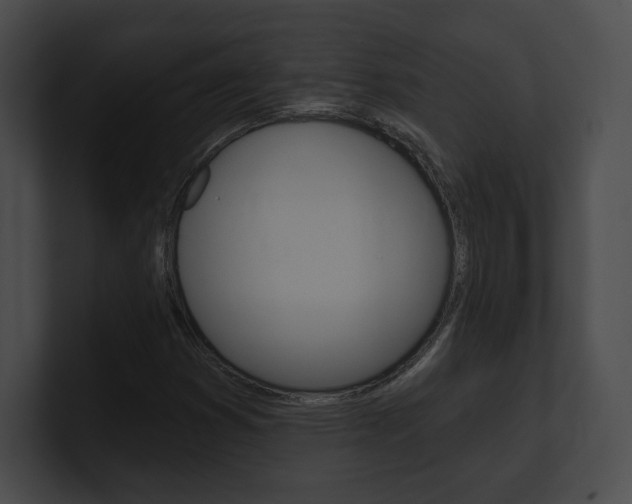X0000101161353200806270724