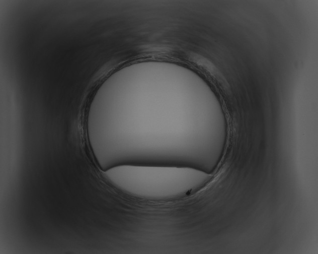 X0000101161354200806270723