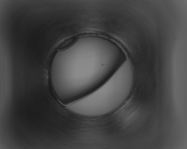 X0000101161355200806270723
