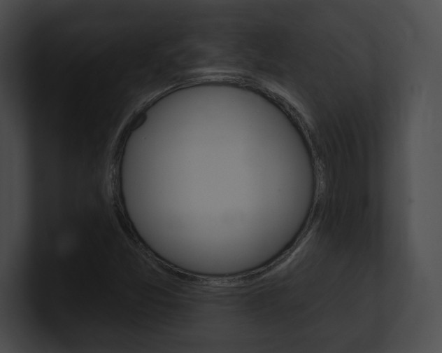 X0000101161357200806270723