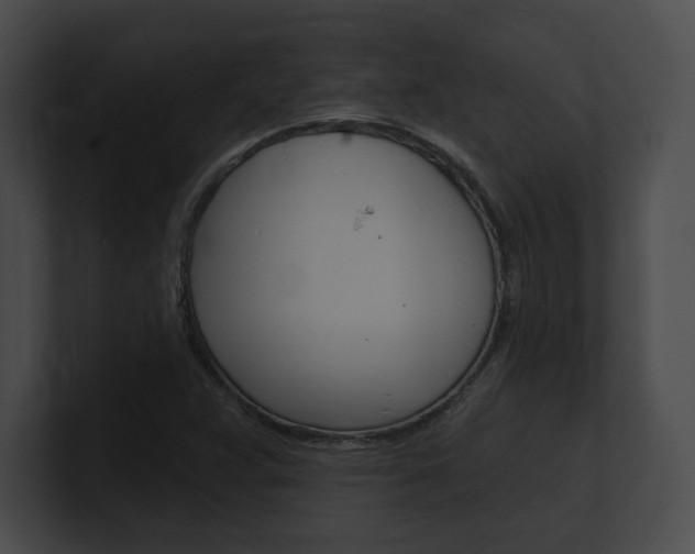 X0000101161359200806270723