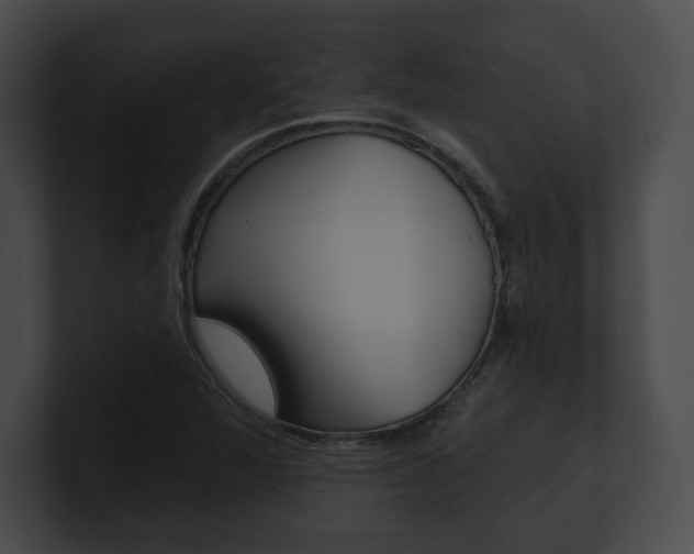 X0000101161360200806270723