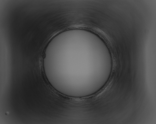 X0000101161361200806270723
