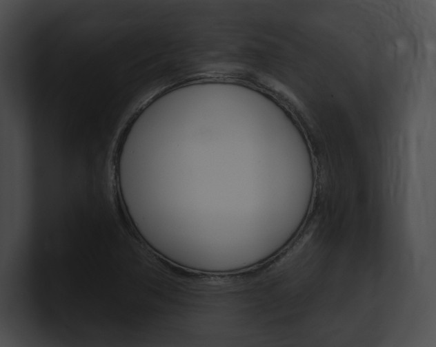 X0000101161362200806270723