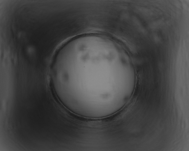X0000101161363200806270723