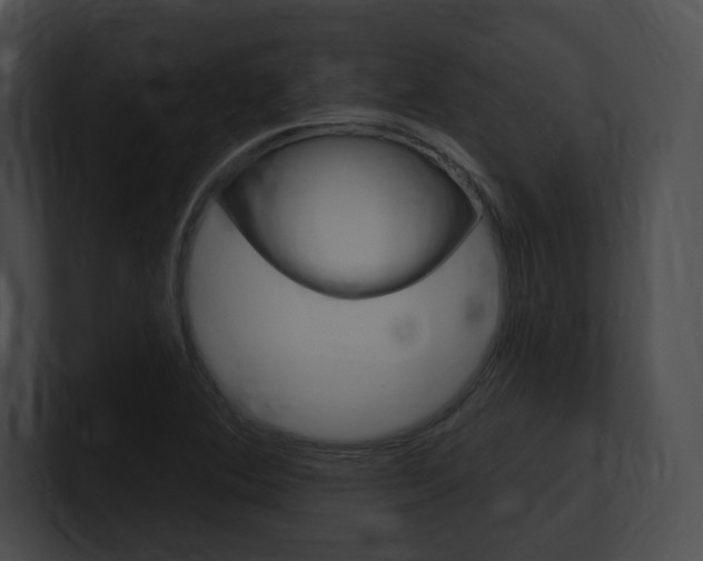 X0000101161364200806270723