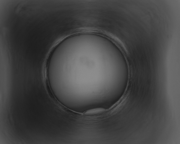 X0000101161365200806270723