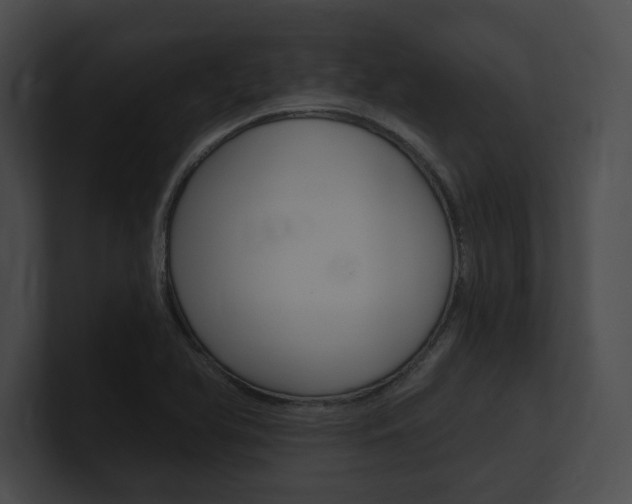 X0000101161366200806270723