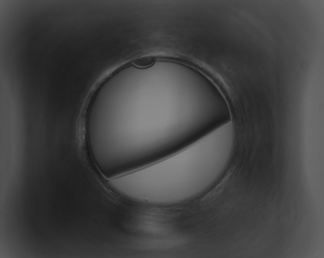 X0000101161367200806270723