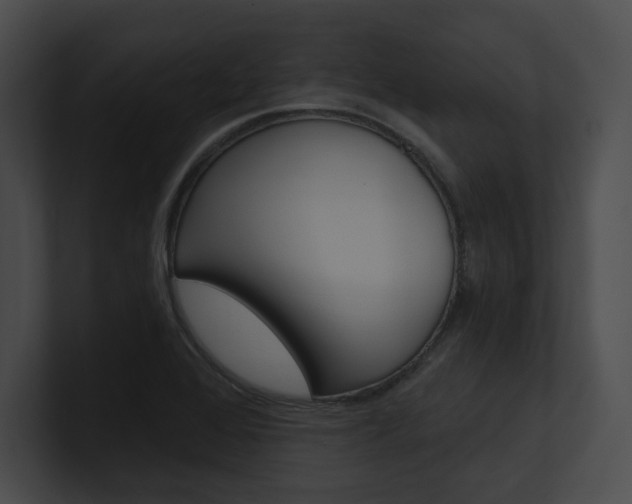 X0000101161368200806270723