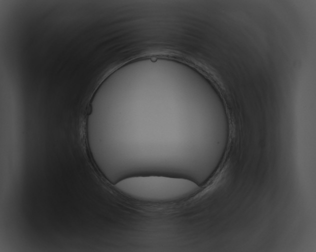 X0000101161369200806270723