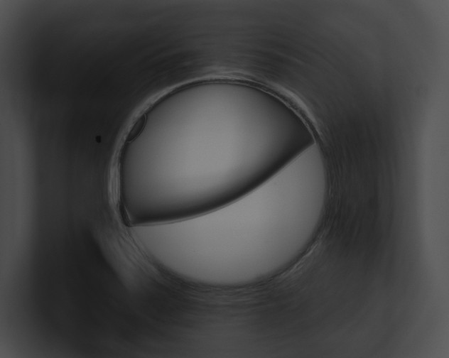 X0000101161371200806270723