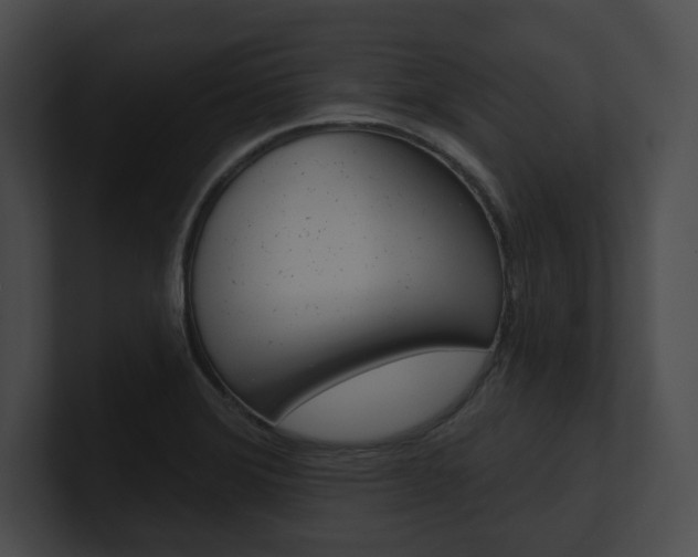 X0000101161372200806270723