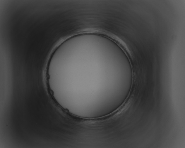 X0000101161373200806270723