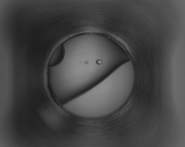 X0000101161375200806270723